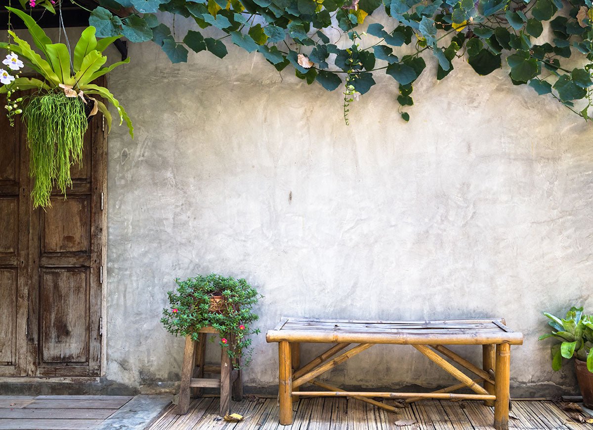 Best Plants to Plant in August: A Guide to Late-Summer Gardening - Ethereal Company