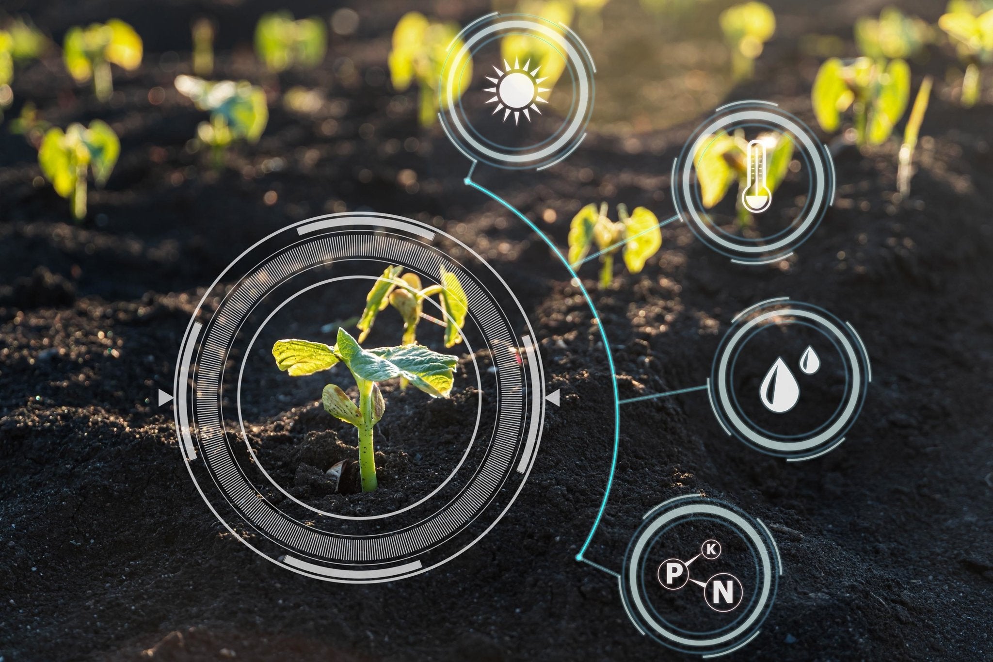Fertilizer And Your Indoor Plants - Ethereal Company
