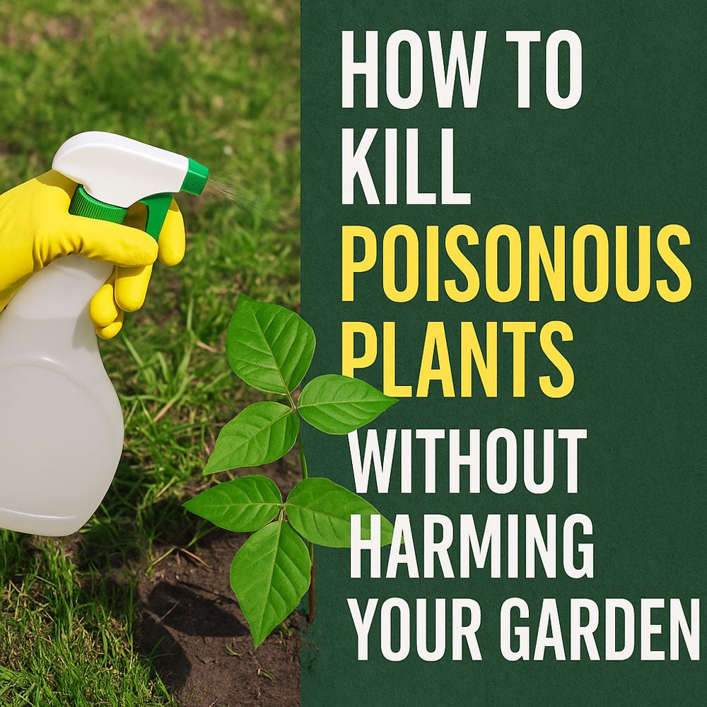 How to Kill Poisonous Plants Without Harming Your Garden - Ethereal Company