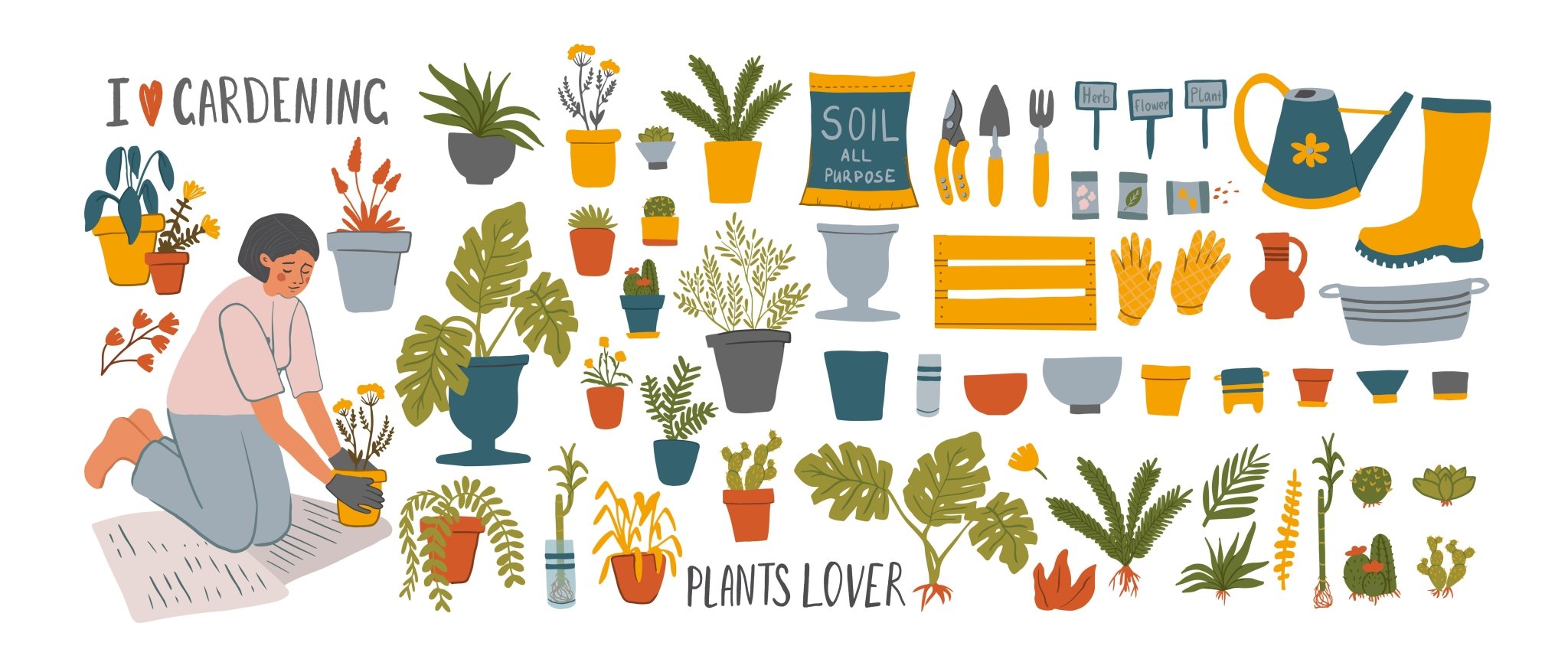 Make indoor plants your new hobby - Ethereal Company