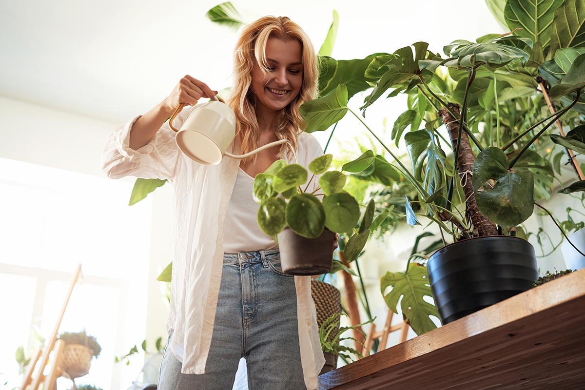 Top 7 Health Benefits Of Houseplants You Need To Know! - Ethereal Company