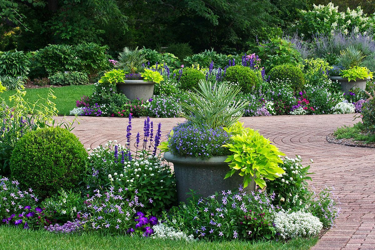 Underplanting And Growing Your Plant Family - Ethereal Company