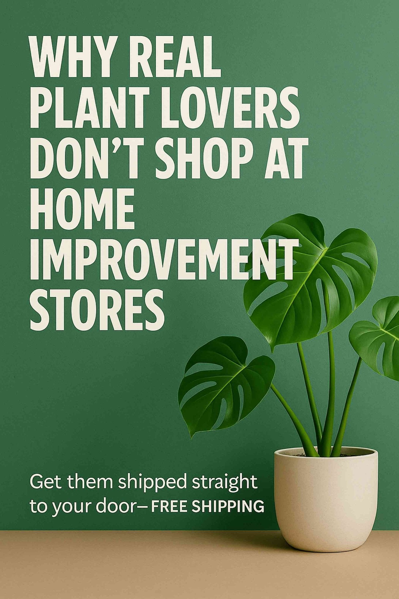 Why Real Plant Lovers Don’t Shop at Home Improvement Stores - Ethereal Company