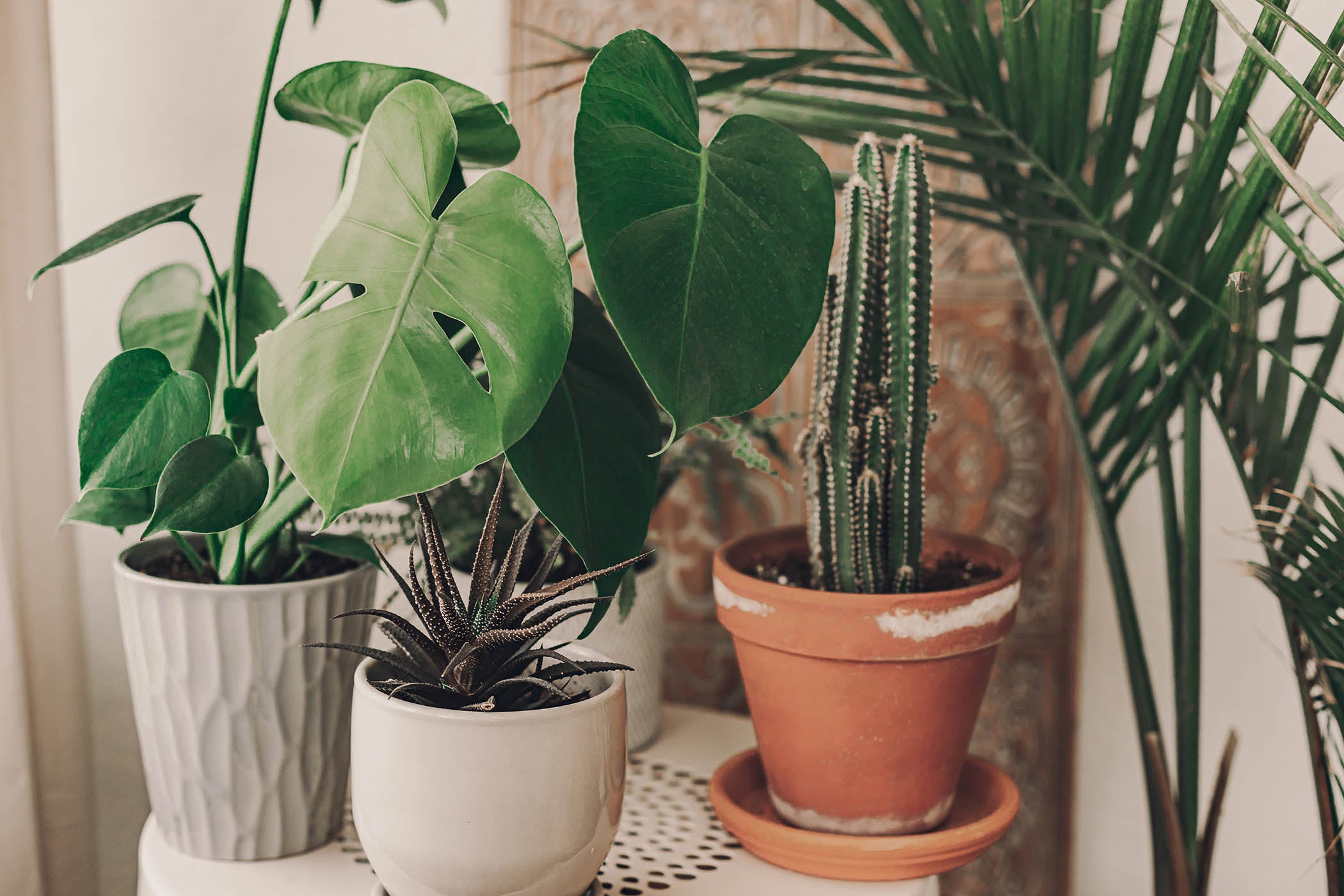 pots and planters