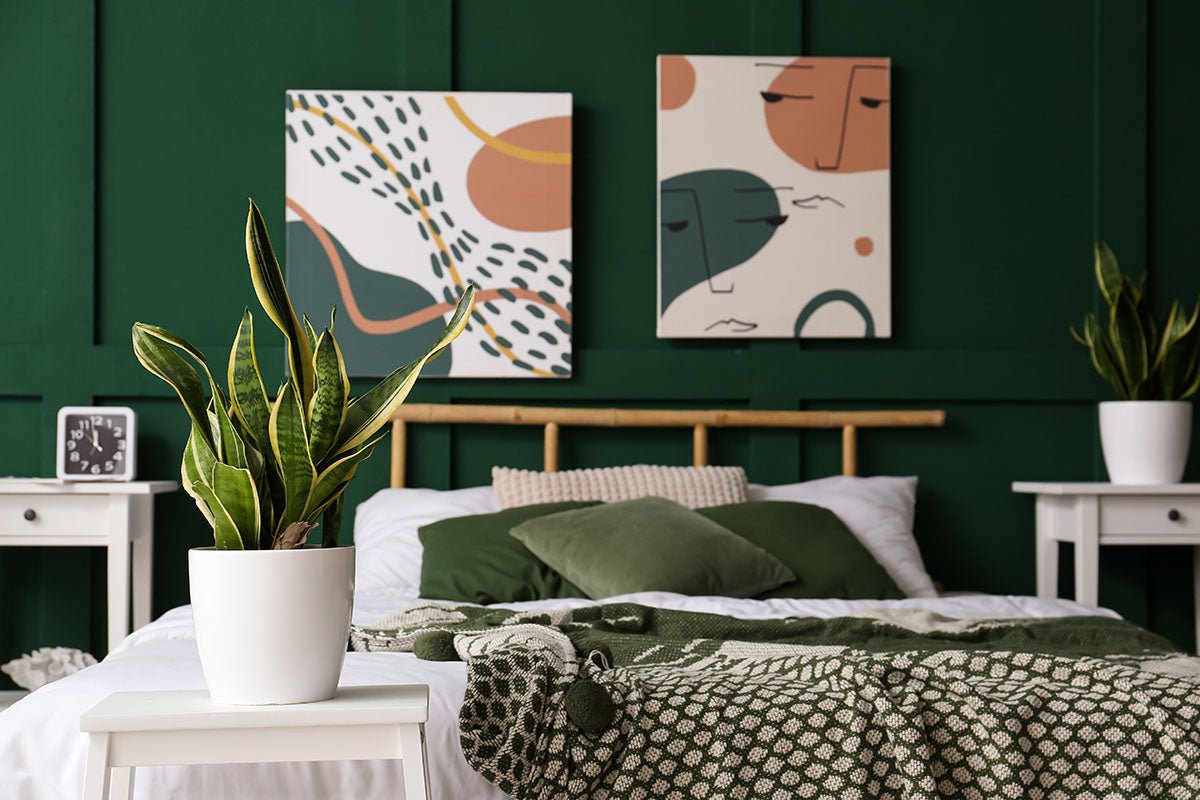 5 Plants Everyone Should Have in the Bedroom - Ethereal Company