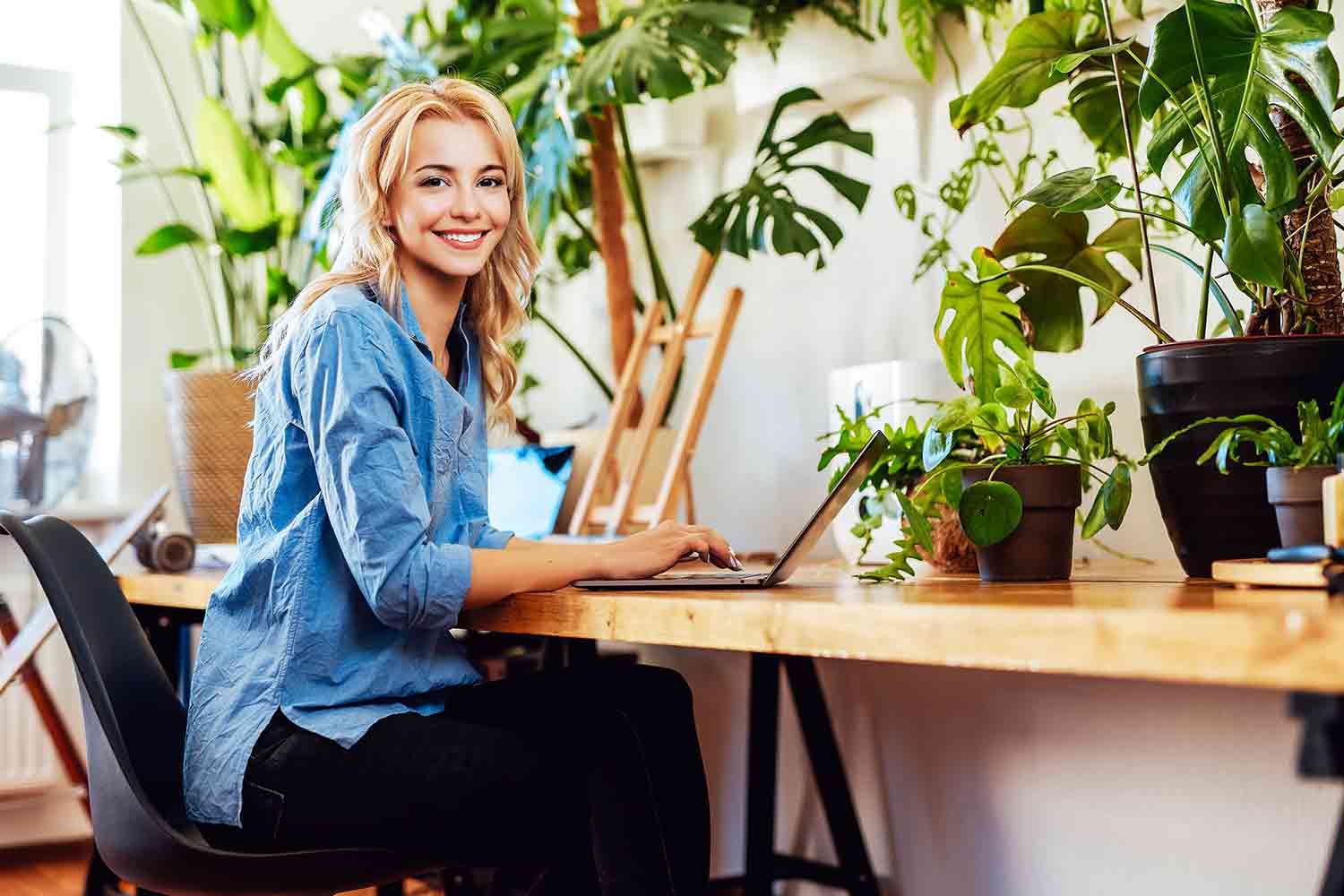 🌿 Best Houseplants for Small Apartments & Office Desks (That Won’t Die on You) - Ethereal Company
