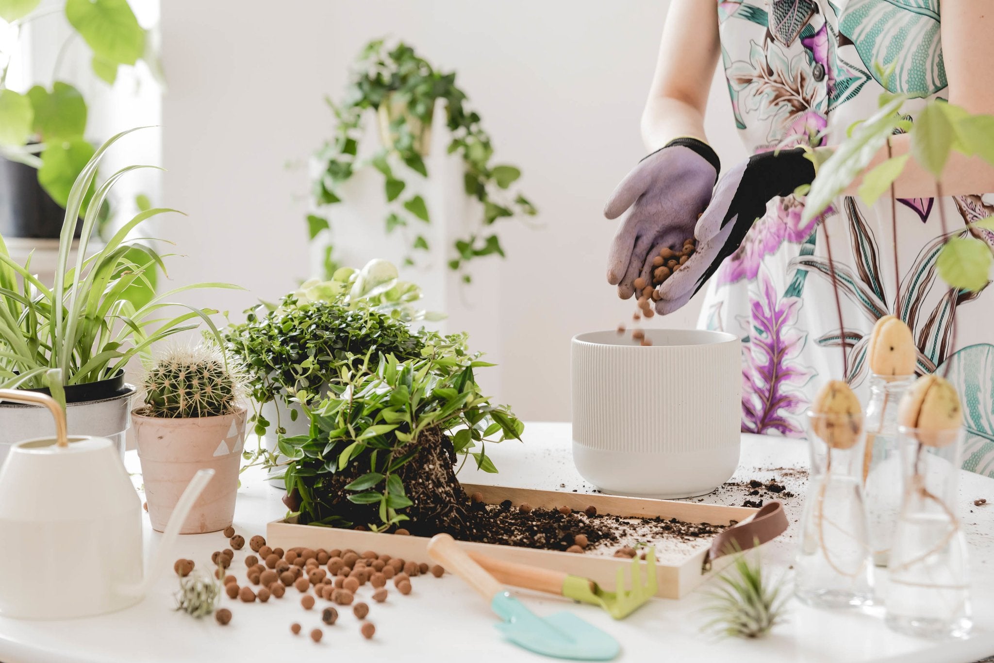 Getting your plants ready for spring! - Ethereal Company