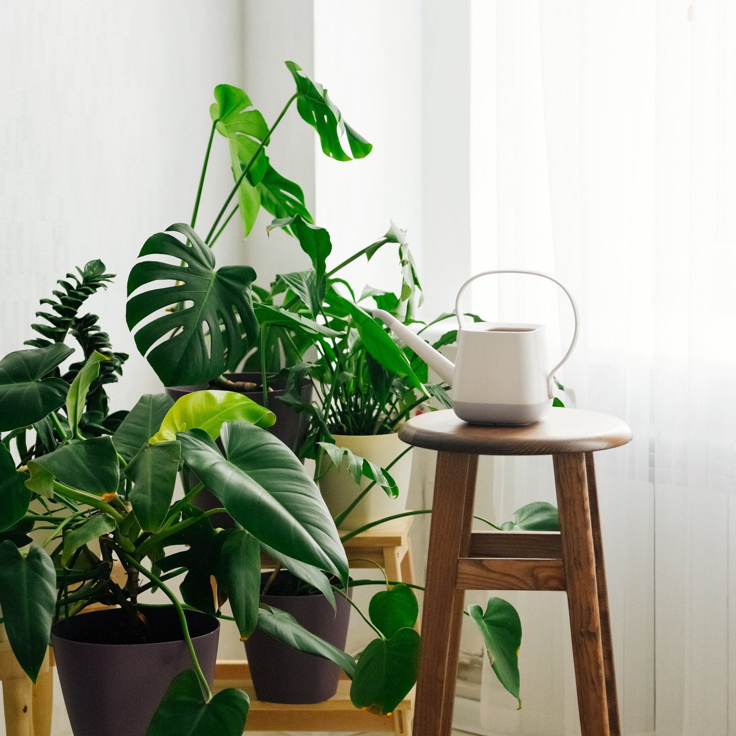 Maintaining Your Indoor Garden - Ethereal Company