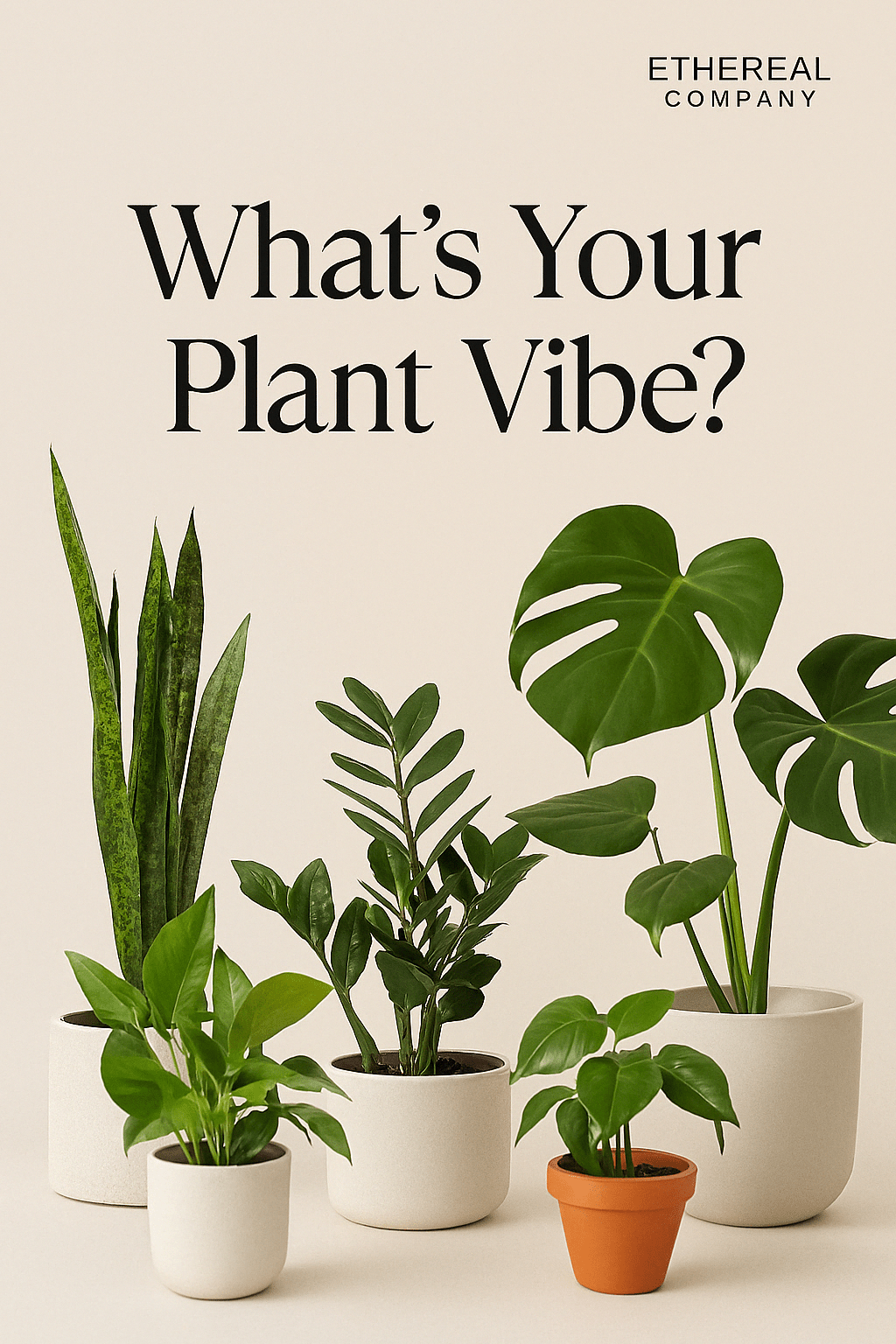 What’s Your Plant Vibe? Find Your Perfect Match 🌿 - Ethereal Company