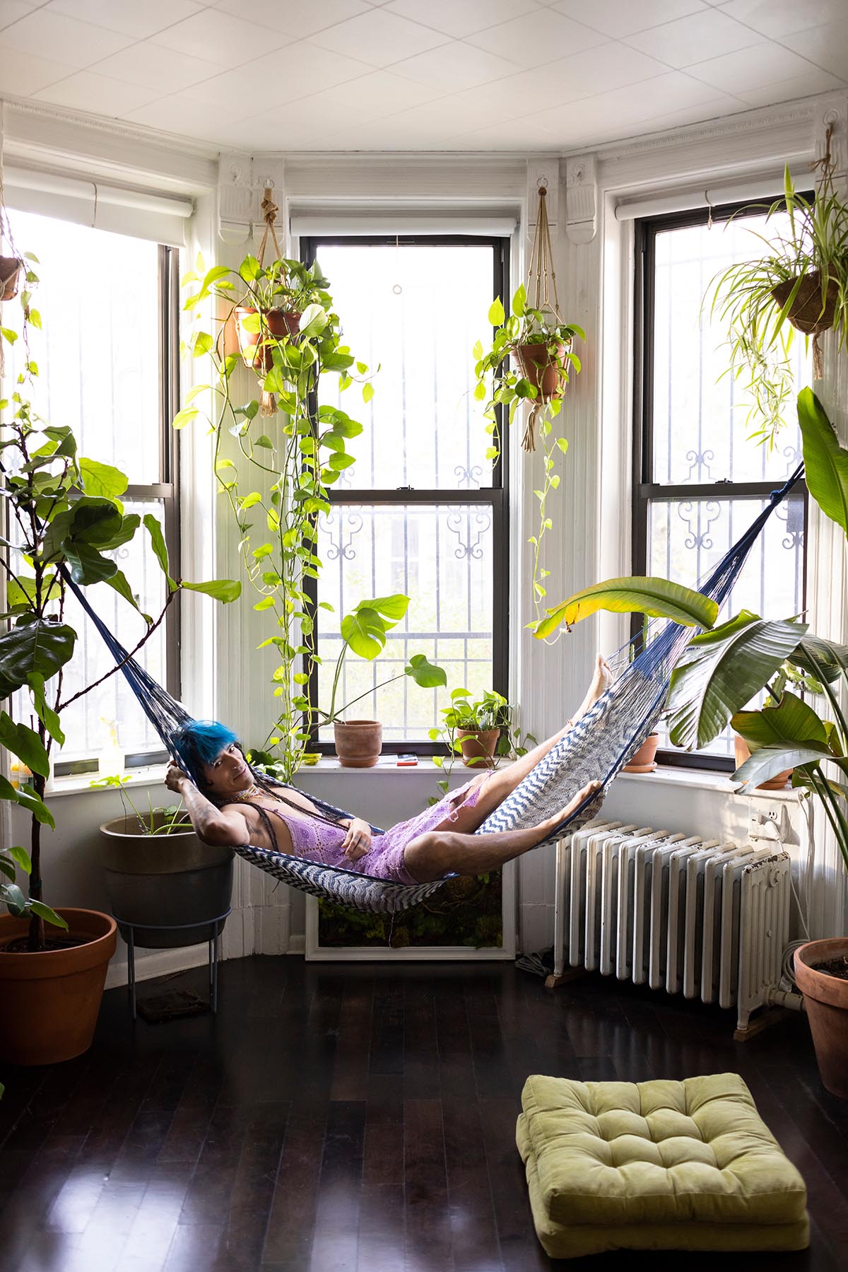 Decorative Plants - Ethereal Company