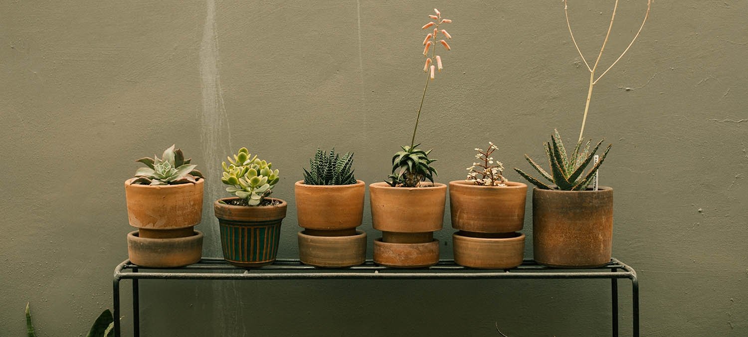 Plant Stands - Ethereal Company