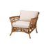 bali & pari Babette Modern Bohemian Natural Brown Rattan Arm Chair - Ethereal Company