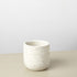 Hera Planter - 5.25 Inch - Ethereal CompanyPots & Planters