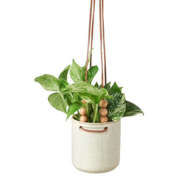 Tomi Hanging Planter - 4.5 Inch - Ethereal CompanyPots &amp; Planters