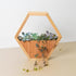 4" Succulent Variety - Hexagarden Pot - Ethereal CompanyPots & Planters