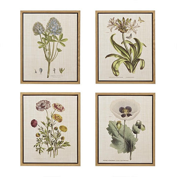 4Pc 16X20 Framed Linen Canvas Set - Herbal Botany - Ethereal Company