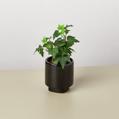 Croix Planter - Ethereal Company