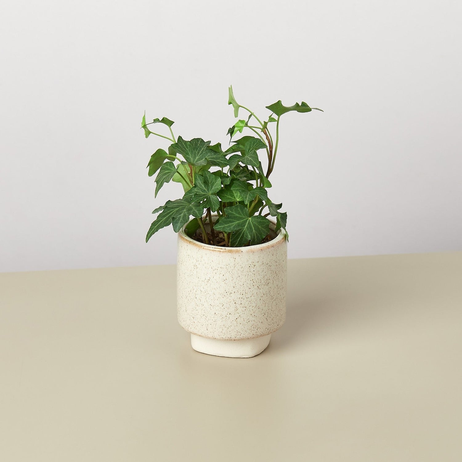Croix Planter - Ethereal Company