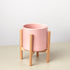 Cylinder Planter with Wood Stand - 5" Pot - Ethereal CompanyPots & Planters