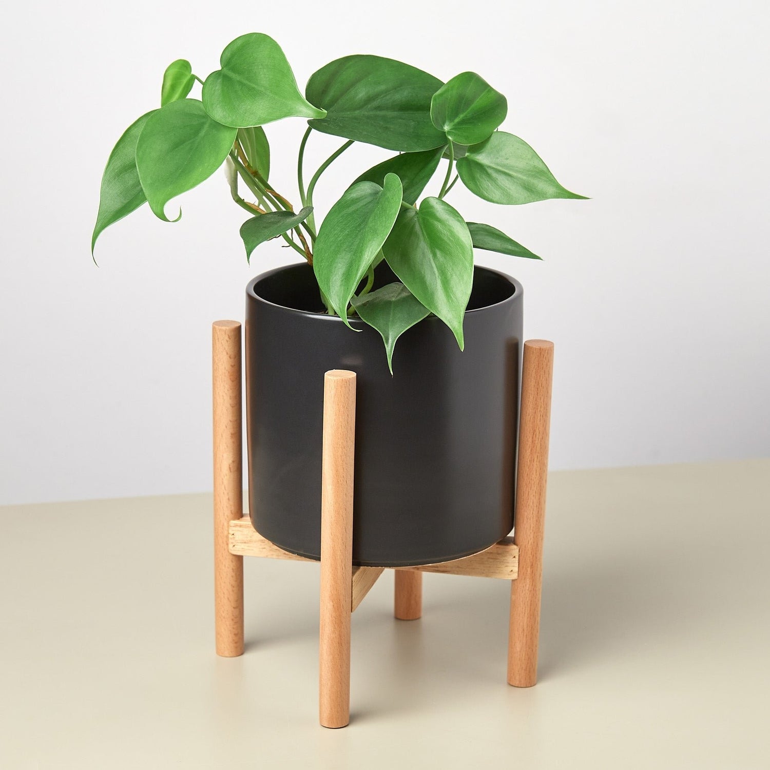 Cylinder Planter with Wood Stand - 5&quot; Pot - Ethereal CompanyPots &amp; Planters