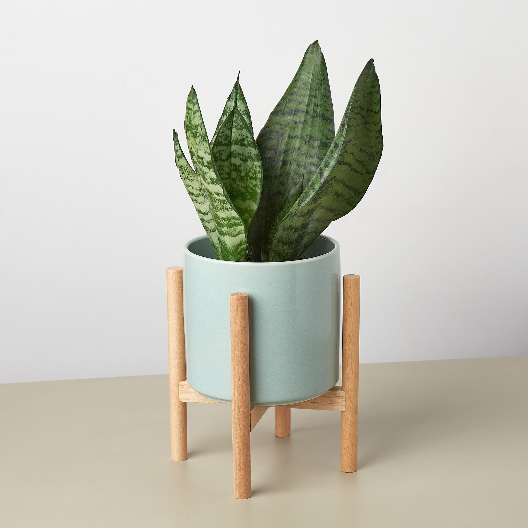 Cylinder Planter with Wood Stand - 5&quot; Pot - Ethereal CompanyPots &amp; Planters