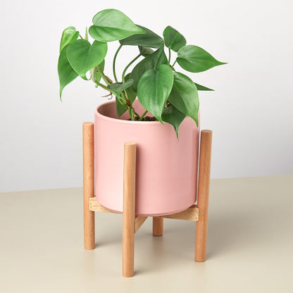 Cylinder Planter with Wood Stand - 5&quot; Pot - Ethereal CompanyPots &amp; Planters