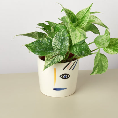 Expressions Planters - Ethereal Company