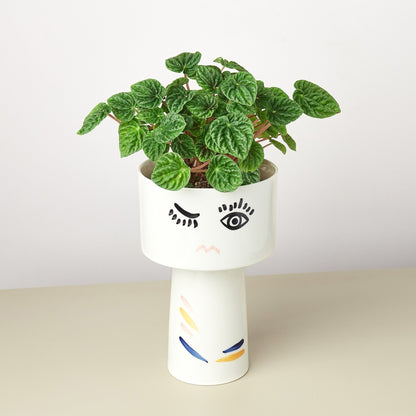 Expressions Planters - Ethereal Company