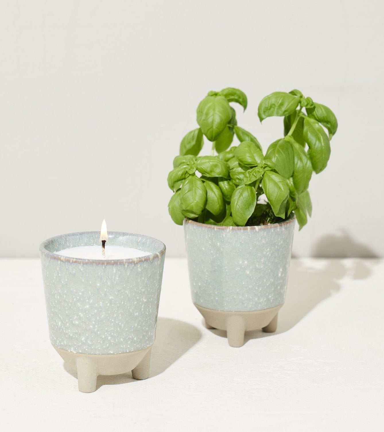 Glow and Grow - Herb Garden - Ethereal Company