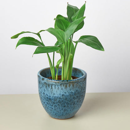 Liberty Bell Planter - Ethereal Company