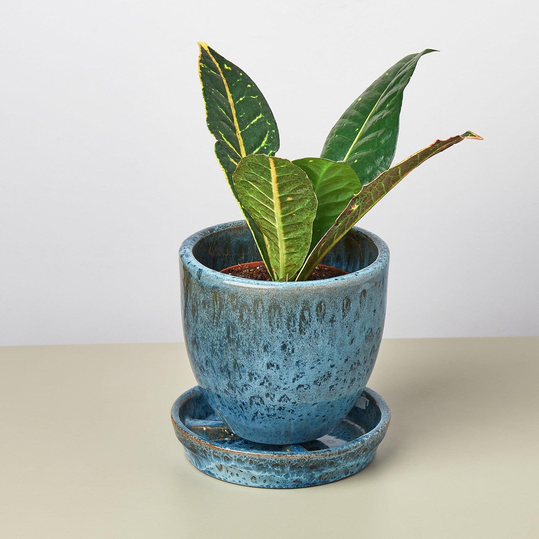 Liberty Bell Planter - Ethereal Company