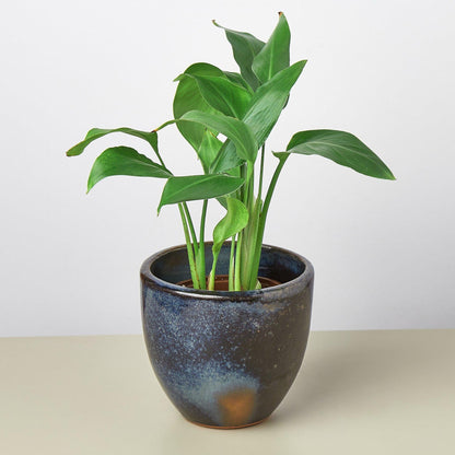 Liberty Bell Planter - Ethereal Company