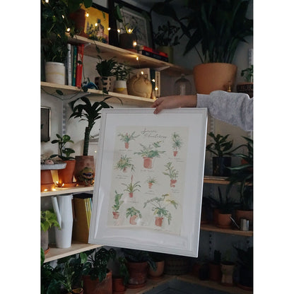 Plant Species Poster - Ethereal Company
