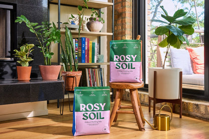 Rosy Indoor Potting Soil - Ethereal Company