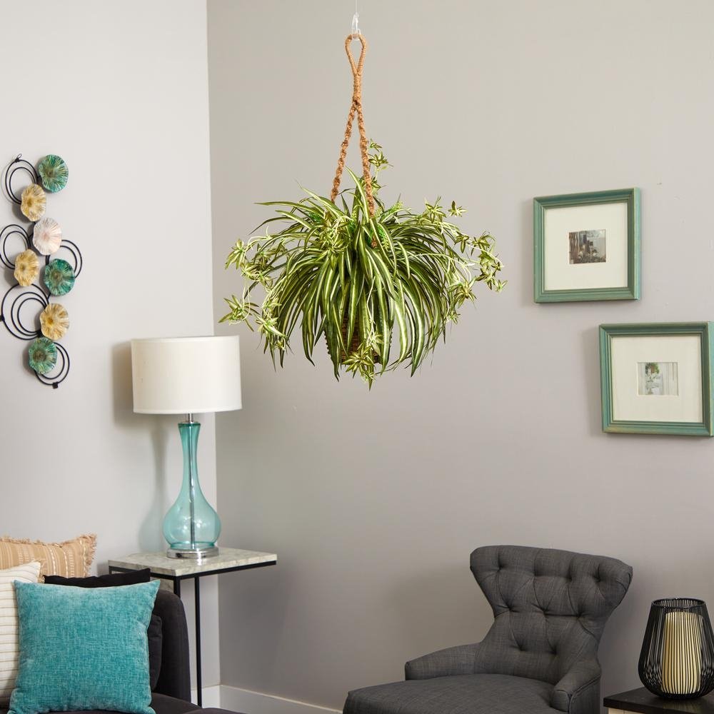 Spider Plant Hanging Basket - Ethereal Company