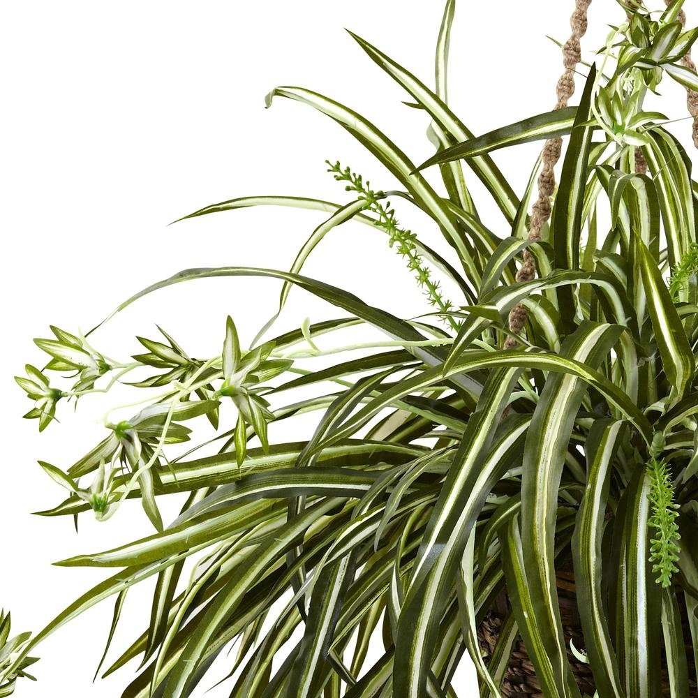 Spider Plant Hanging Basket - Ethereal Company