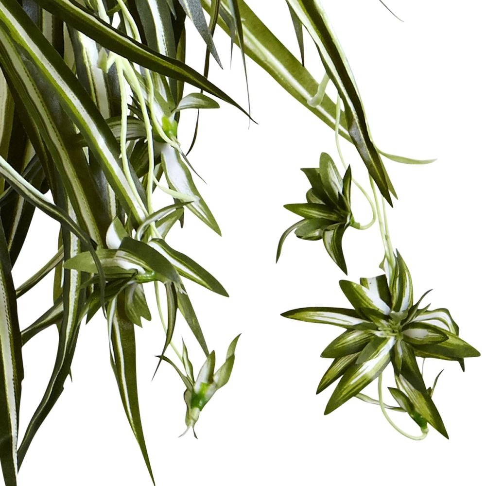 Spider Plant Hanging Basket - Ethereal Company