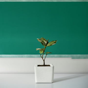 Square Planter, White - Ethereal Company