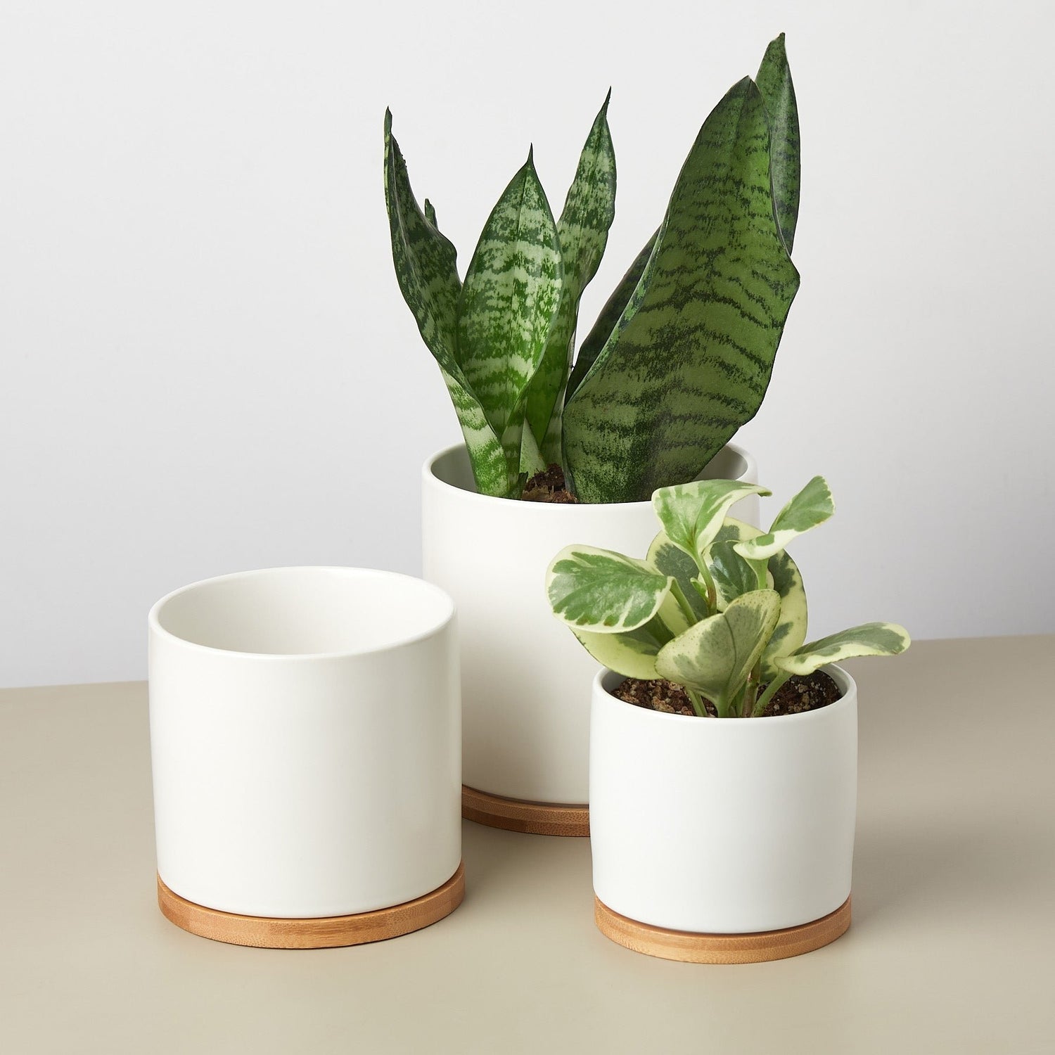 White Cylinder Pots with Wood Saucers - Set of 3 - Ethereal Company
